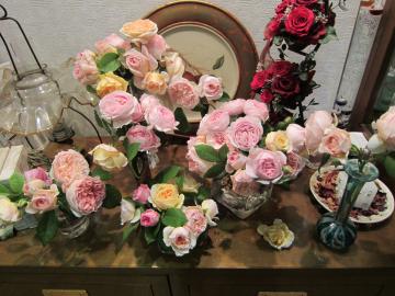 �o�P�c��t���K�N