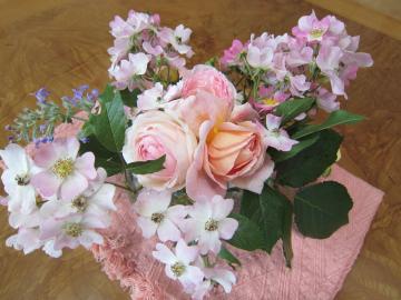 �o�����[�i������