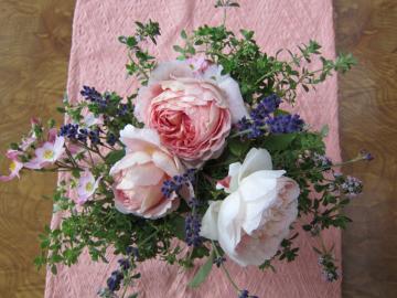 �K�N������