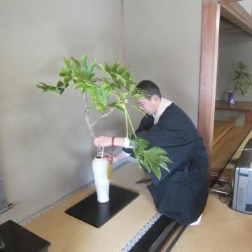 䗬@s@