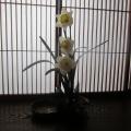 䗬@s@
