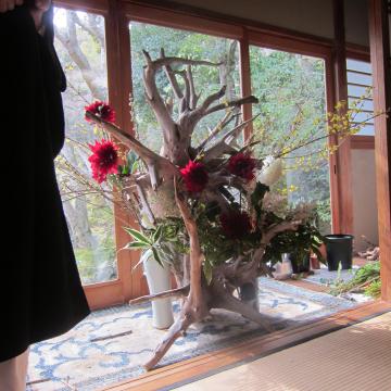 䗬@s@