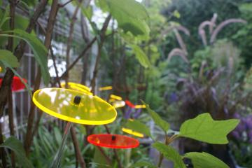 sun catcher on our office balcony