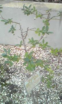 Vz O\