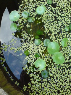 U-޶2