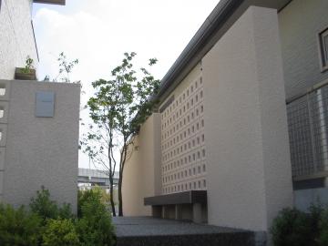 imamura-�ډB����