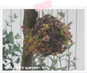 ؂ɒ݂邵EEZ_̃{[gt`*