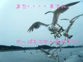 ̓s̃J