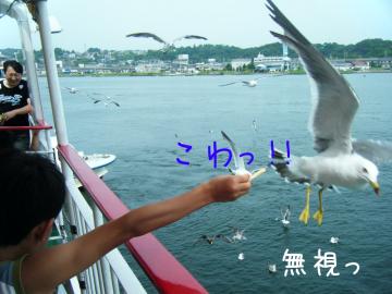 ̓s̃J