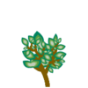 OX