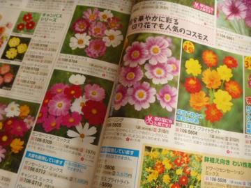 ʔ̃J^O