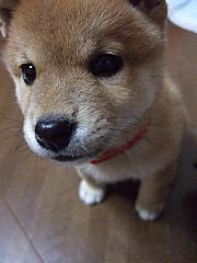 䂸@K@