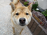 䂸Abv
