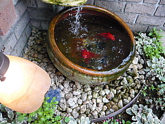 2009