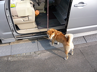 䂸