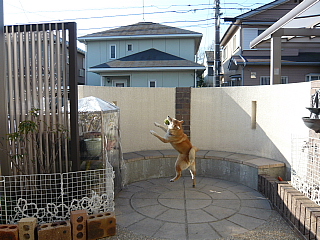 Lb`{[
