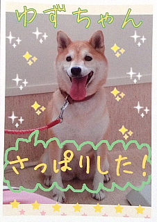 䂸@Č