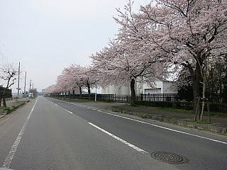 炳