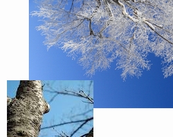 �~�@�O�\�H��