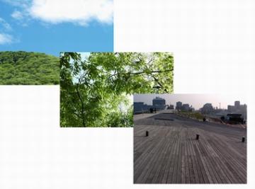 �����܂��߂ȊO�\�X�@���X�@�O�\�H��