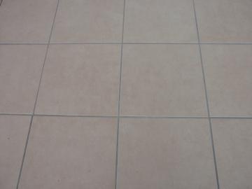 �g���^�z�[���̂��V�z�O�\�H���@�^�C���H���@�����ݖ�i�_�ސ쌧���l�s�t���꒬�j�@�F�G�N�X�e���A���l