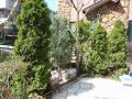 �R�j�t�@�[�@�F�u�G�N�X�e���A���l�v�@�A�͍H�����܂߂܂����O�\����