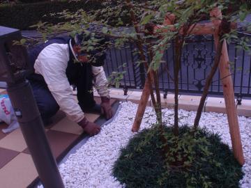 �_�ސ쌧���l�s����折���J���@�Z�L�X�C�n�C���@���V�z�O�\�H���@�F�G�N�X�e���A���l����