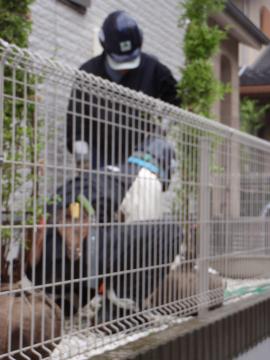 �_�ސ쌧���l�s�ߌ���n��@�K�[�f���H���i�E�����ނ̃E�b�h�f�b�L�A���j�@�F�G�N�X�e���A���l����