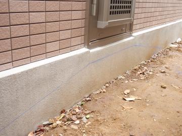 �_�ސ쌧���l�s�ߌ����̋{�@���V�z�O�\�H���@�F�G�N�X�e���A���l����