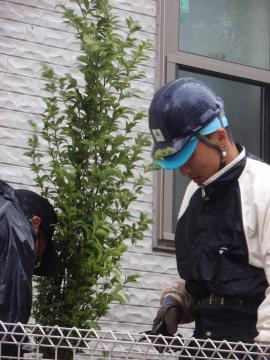 �_�ސ쌧���l�s�ߌ���n��@�K�[�f���H���i�E�����ނ̃E�b�h�f�b�L�A���j�@�F�G�N�X�e���A���l����