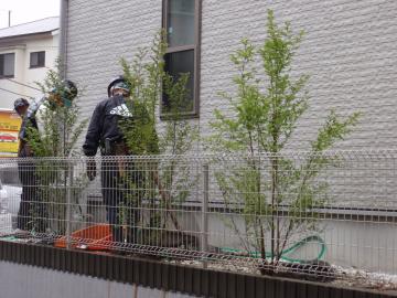 �_�ސ쌧���l�s�ߌ���n��@�K�[�f���H���i�E�����ނ̃E�b�h�f�b�L�A���j�@�F�G�N�X�e���A���l����