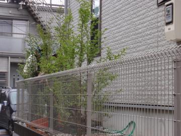 �_�ސ쌧���l�s�ߌ���n��@�K�[�f���H���i�E�����ނ̃E�b�h�f�b�L�A���j�@�F�G�N�X�e���A���l����