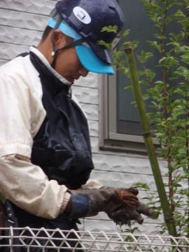 �_�ސ쌧���l�s�ߌ���n��@�K�[�f���H���i�E�����ނ̃E�b�h�f�b�L�A���j�@�F�G�N�X�e���A���l����