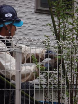 �_�ސ쌧���l�s�ߌ���n��@�K�[�f���H���i�E�����ނ̃E�b�h�f�b�L�A���j�@�F�G�N�X�e���A���l����