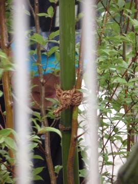 �_�ސ쌧���l�s�ߌ���n��@�K�[�f���H���i�E�����ނ̃E�b�h�f�b�L�A���j�@�F�G�N�X�e���A���l����