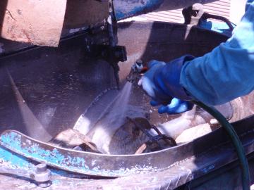 �����s��c���瑩�@���t�H�[���O�\�H���@�F�G�N�X�e���A���l����