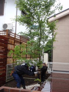 �_�ސ쌧���l�s�ߌ���n��@�K�[�f���H���i�E�����ނ̃E�b�h�f�b�L�A���j�@�F�G�N�X�e���A���l����