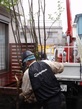 �_�ސ쌧���l�s�ߌ���n��@�K�[�f���H���i�E�����ނ̃E�b�h�f�b�L�A���j�@�F�G�N�X�e���A���l����