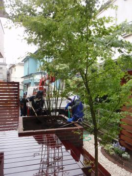 �_�ސ쌧���l�s�ߌ���n��@�K�[�f���H���i�E�����ނ̃E�b�h�f�b�L�A���j�@�F�G�N�X�e���A���l����