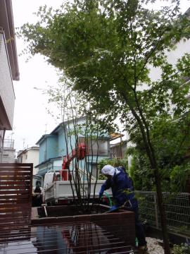 �_�ސ쌧���l�s�ߌ���n��@�K�[�f���H���i�E�����ނ̃E�b�h�f�b�L�A���j�@�F�G�N�X�e���A���l����