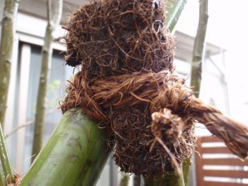 �_�ސ쌧���l�s�ߌ���n��@�K�[�f���H���i�E�����ނ̃E�b�h�f�b�L�A���j�@�F�G�N�X�e���A���l����