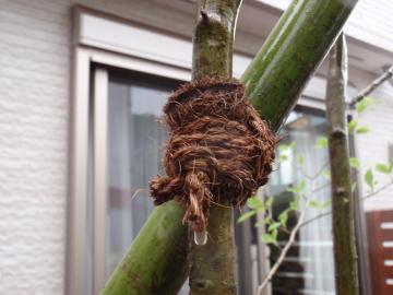 �_�ސ쌧���l�s�ߌ���n��@�K�[�f���H���i�E�����ނ̃E�b�h�f�b�L�A���j�@�F�G�N�X�e���A���l����