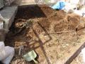 神奈川県横浜市保土ヶ谷区桜ヶ丘 リフォームガーデン工事 :エクステリア横浜実績