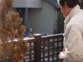 神奈川県横浜市鶴見区駒岡 リフォームガーデン工事 :エクステリア横浜実績