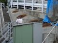 神奈川県横浜市保土ヶ谷区桜ヶ丘 リフォームガーデン工事 :エクステリア横浜実績
