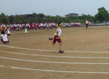 2010wZ^