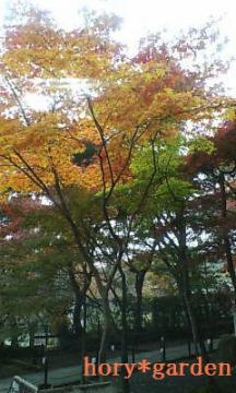 2006.11.9@@