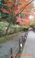 2006.11.9@@