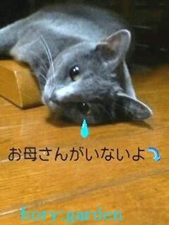 ݂`B