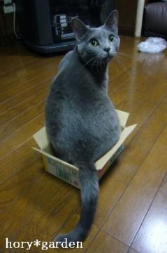 ǁ`ȂH